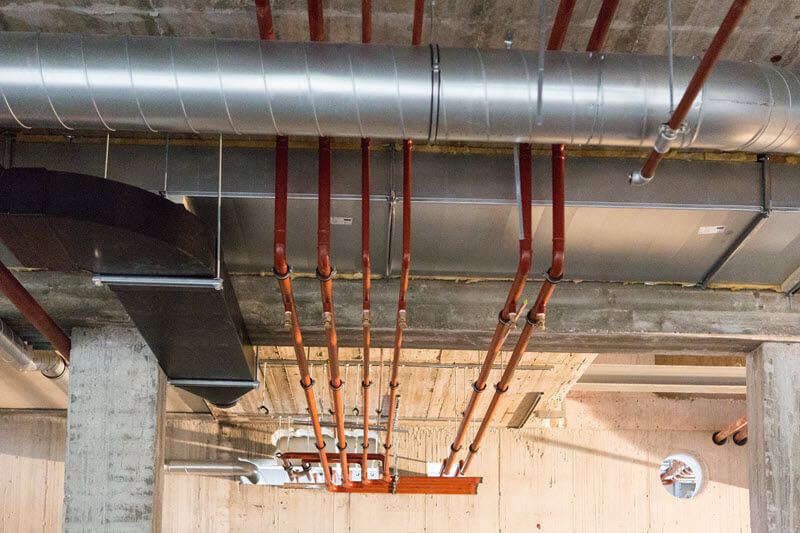 esllammerinkutrecht-59